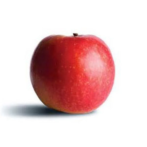 Pink Lady Apples - Lunch Box Size - Organic