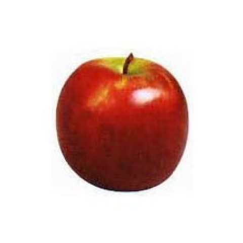Sundowner Apples - Organic, by the each