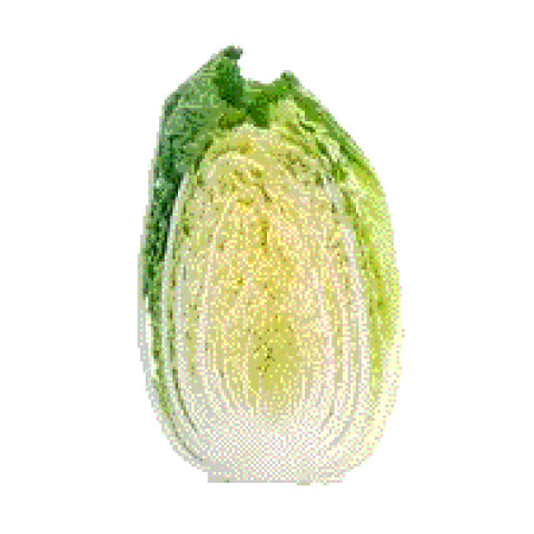Chinese Cabbage Half (Wombok) - Organic