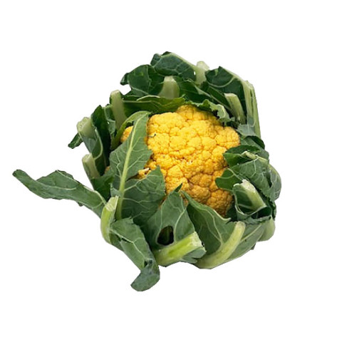 Golden Cauliflower Whole - Organic