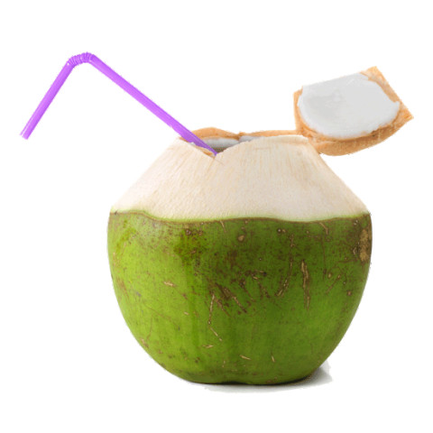 Coconuts (Drinking) 3 for 2! - Organic