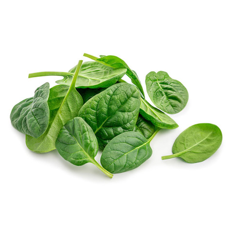 Coolibah English Spinach - Baby, Loose - Organic