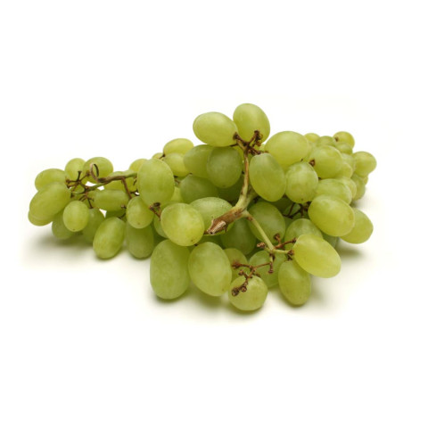 Premium White Seedless Grapes - Organic