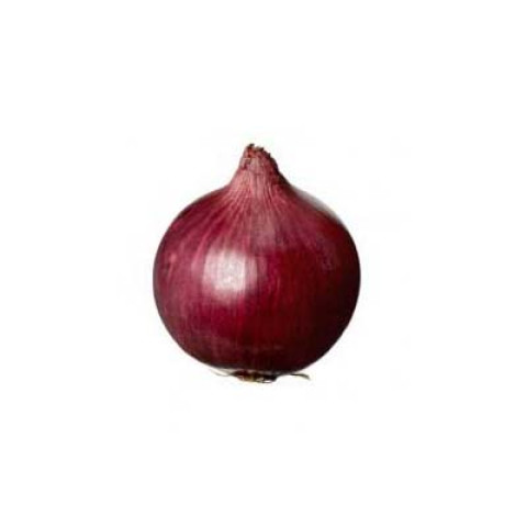 Spanish Onions Small - Organic