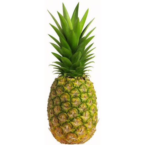 Juicing Pineapples - Organic