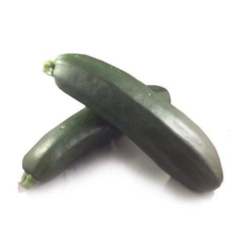 Green Zucchini Large - Organic