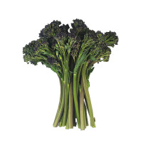 Purple Broccolini - Organic