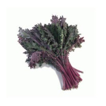 Red (Russian) Kale - Organic