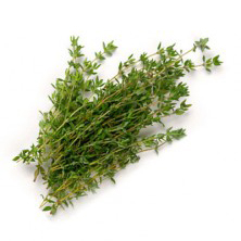 Thyme - Clearance