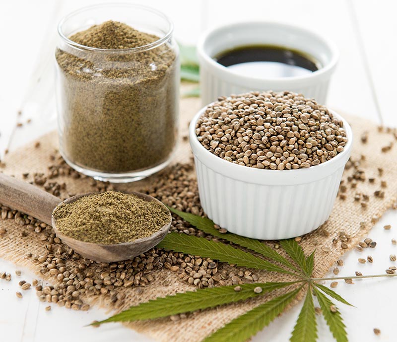 The Hype About Hemp