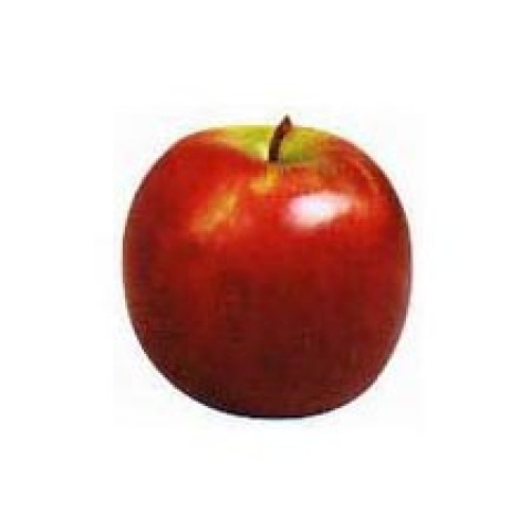 Sundowner Apples Bulk Box - Organic