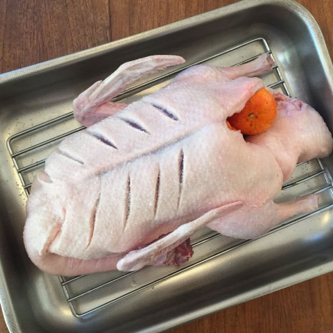 Feather and Bone Ayleesbury-Pekin Duck Whole (Fresh)