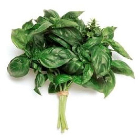 Fresh Basil - Organic