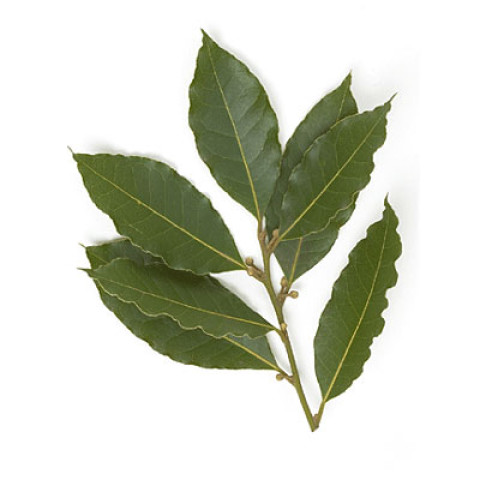 Bay Leaves - Organic