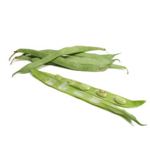 Italian Flat Beans - Organic