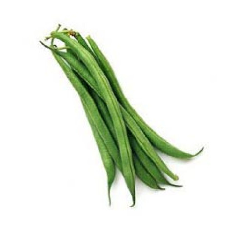 Round Beans - Organic