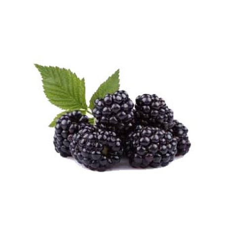 Blackberries - Organic