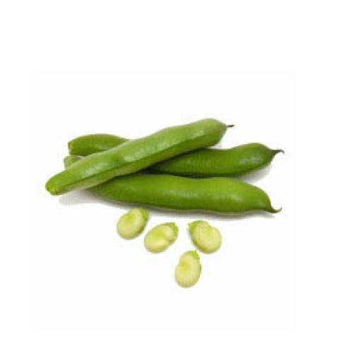 Broad Beans - Organic