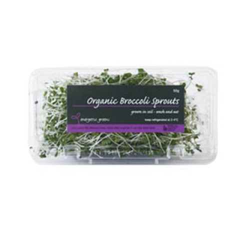 Broccoli Sprouts - Organic