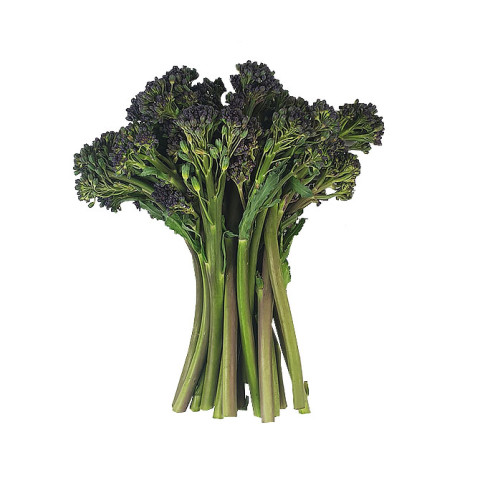 Purple Broccolini 3 for 2! - Organic