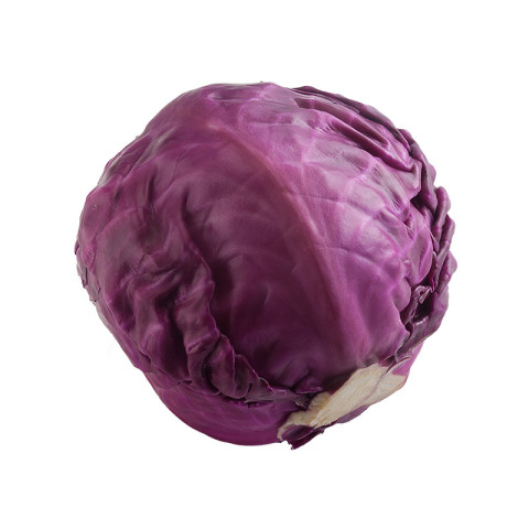 Red Cabbage Whole - Special - Organic