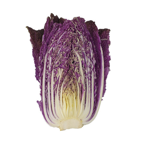 Chinese Cabbage (Wombok) Purple half - Organic