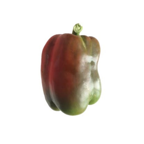 Mix Coloured Capsicum - Organic