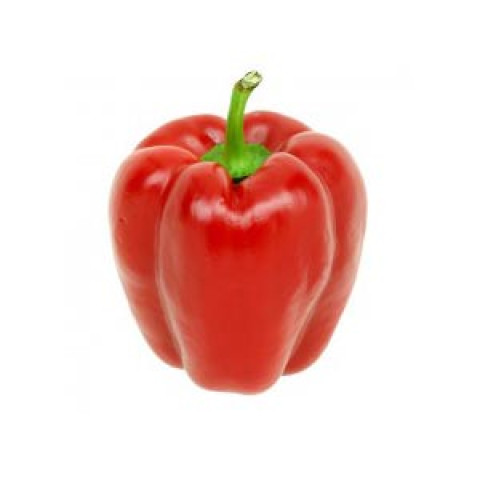 Red Capsicum - Organic, by the each