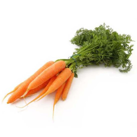 Dutch Carrots - Organic