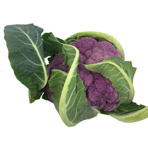 Purple Cauliflower Half - Organic