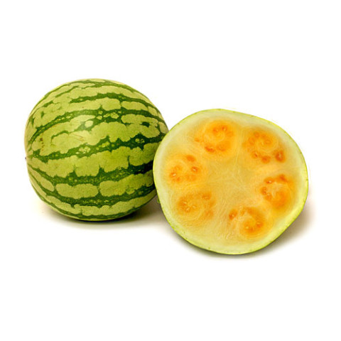 Champagne Melon Whole Melon - Organic