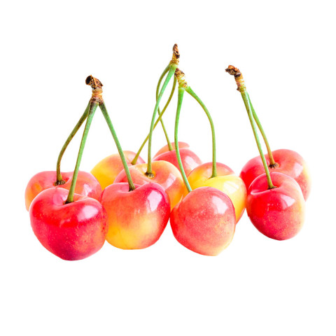 White Cherries - Organic