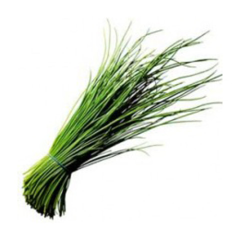 Chives Onion - Organic