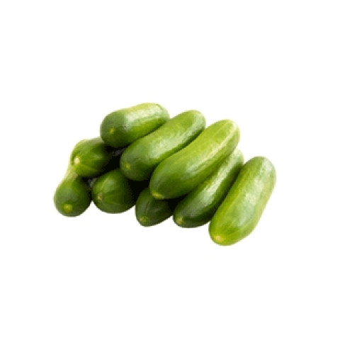 Lebanese Cucumbers - Baby - Organic