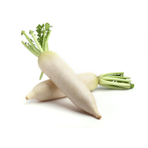 Daikon Radish - Organic