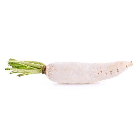 Single Daikon Radish, Large - Organic