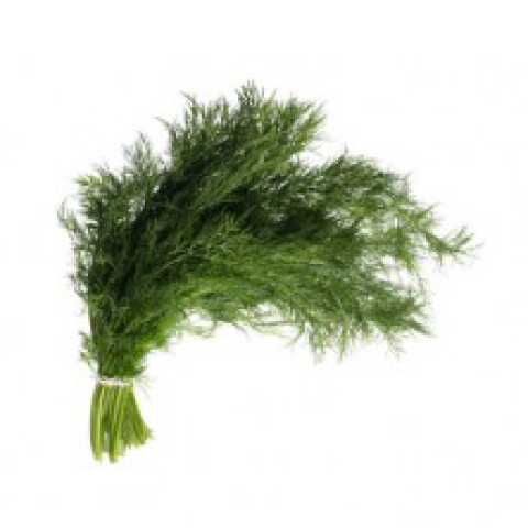 Dill - Clearance - Organic