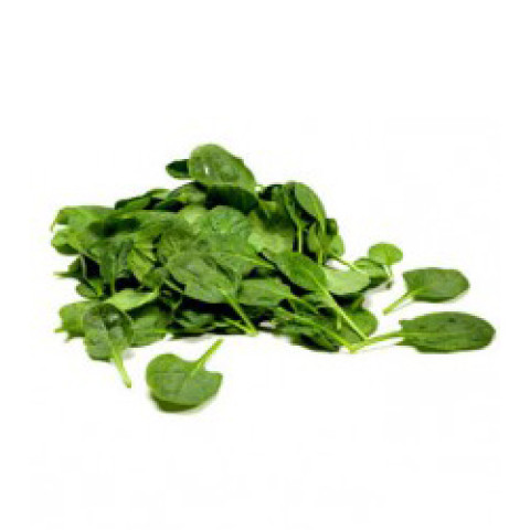 Coolibah English Spinach - Baby, Loose Bulk Box - Organic