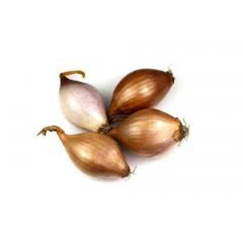 French Shallots - Organic