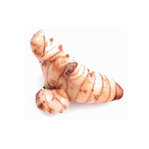 Galangal - Organic