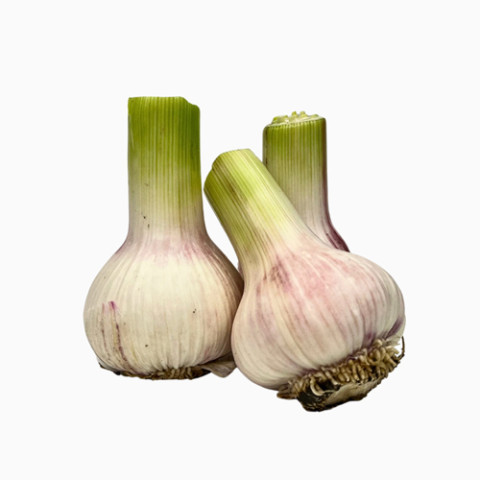 Young Garlic (Fresh) - Organic