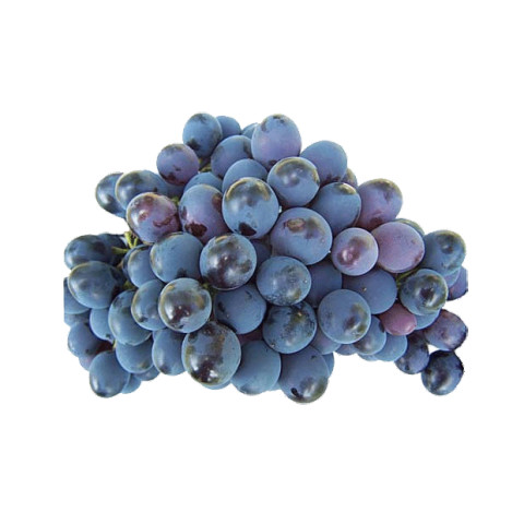 Black Seedless Grapes - Organic
