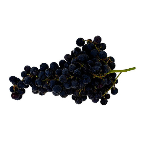 Black Currant Grapes - Organic