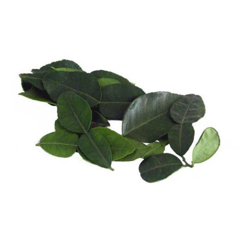 Kaffir Lime Leaves - Organic