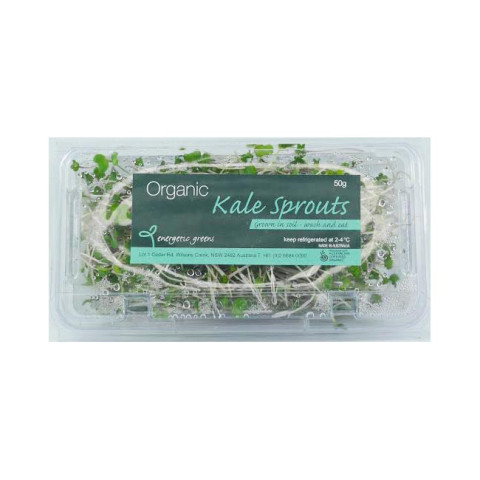 Kale Sprouts - Organic