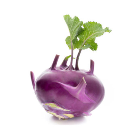 Kohlrabi - Organic