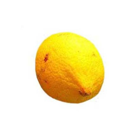 Juicing Lemons 2nds - Organic