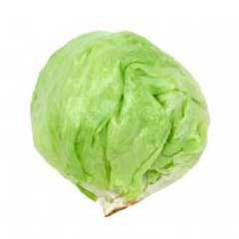 Iceberg Lettuce - Organic