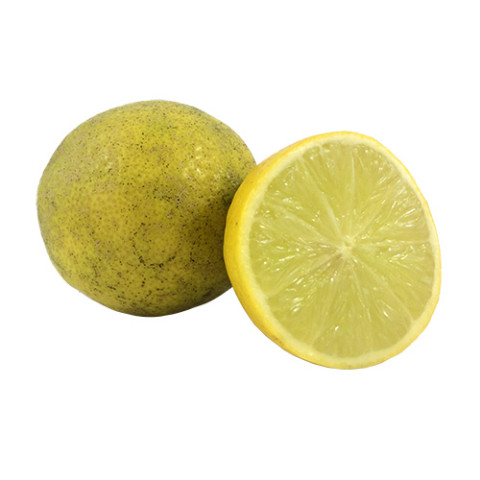 Tahitian Limes 2nds - Organic