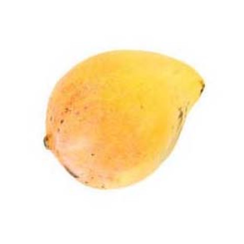 Kensington Pride Mangoes Medium - Organic